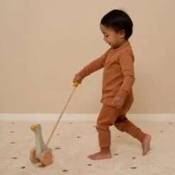 Little Dutch Oie à Pousser Little Goose -Little Dutch oie a pousser little goose 3